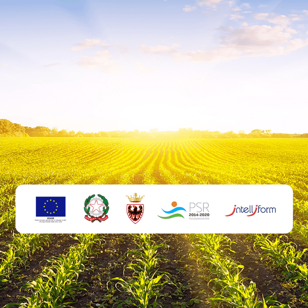 Sviluppare Strategie di Marketing Agro-Alimentare